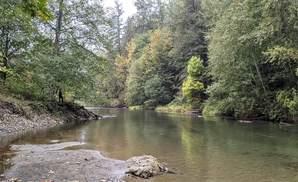 Belmondo Reach Park on Cedar River