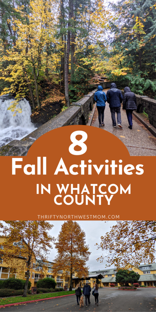 8 Fall Activities around Whatcom County for Families!