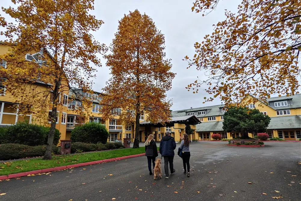 Fall Leaves at Semiahmoo