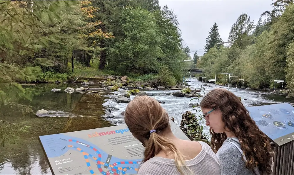 Landsburg Park in Maple Valley on Cedar River