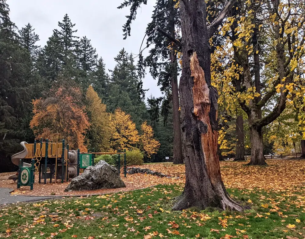 Playground at Whatcom Falls in the Fall