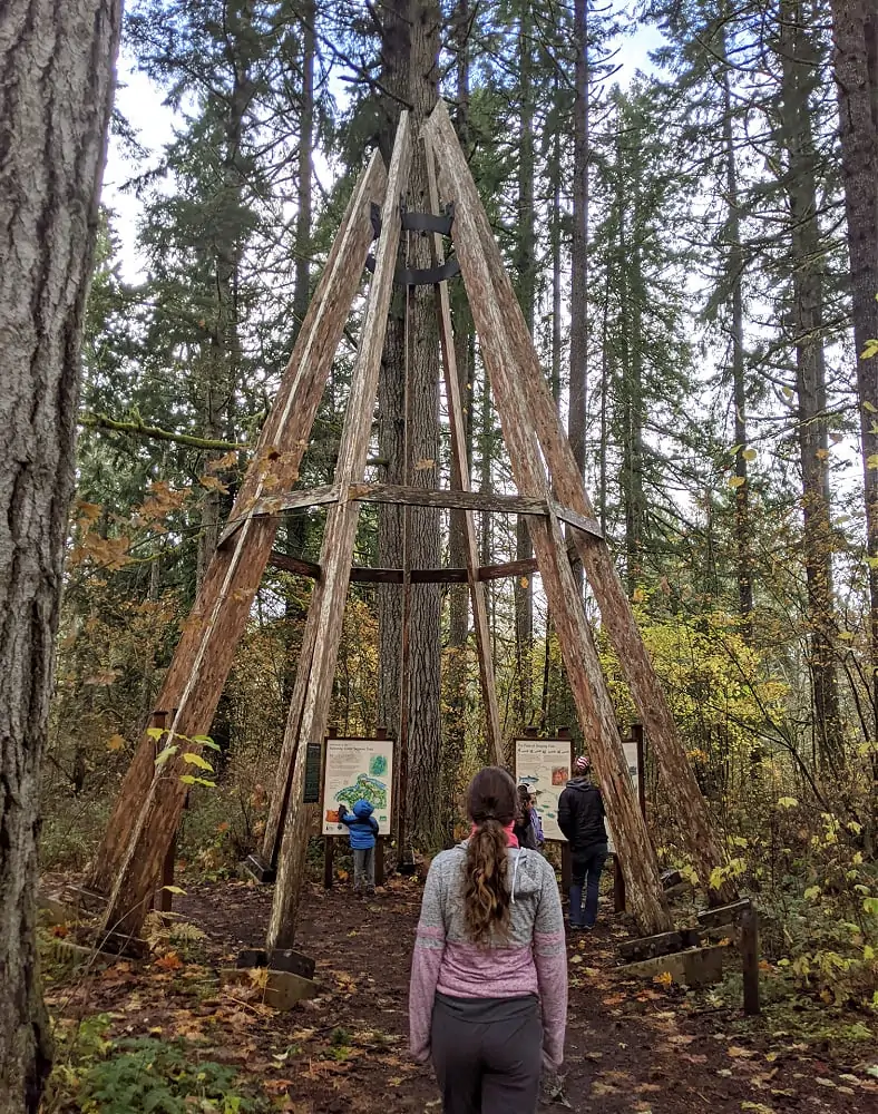 Salmon Interpretive Trail at Kennedy Creek