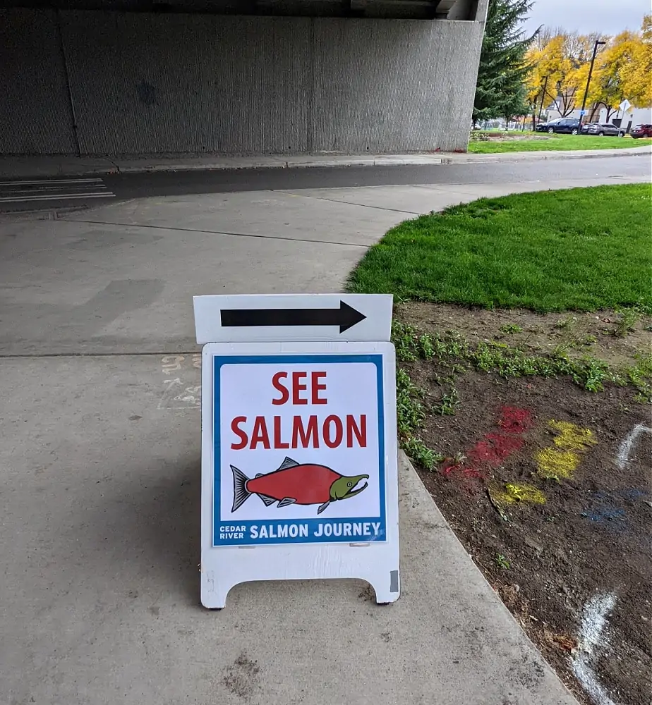 Seattle Aquarium Salmon Viewing Opportunities with Sign