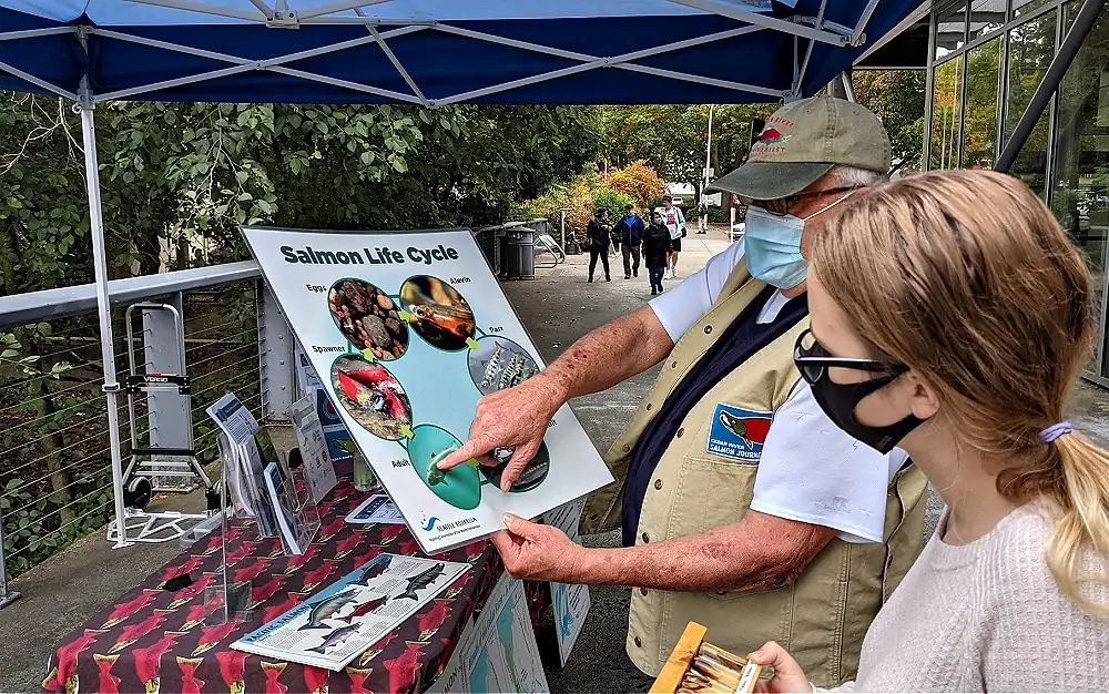 Volunteer sharing about Salmon Life Cycle