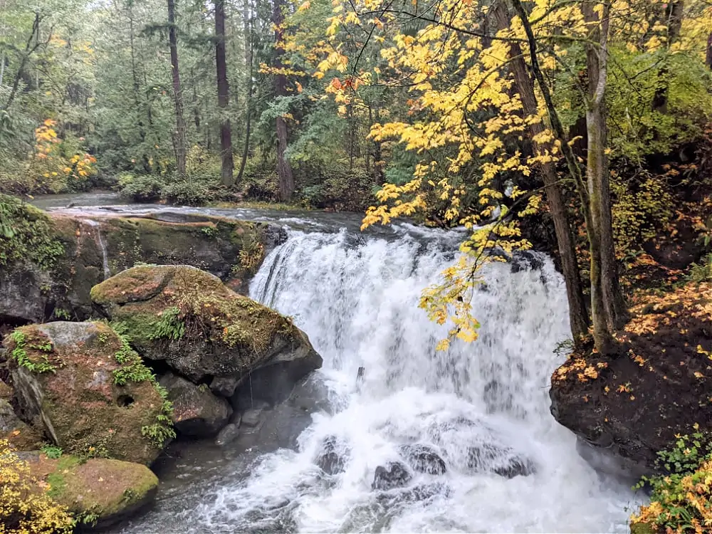 Whatcom Falls in the Fall