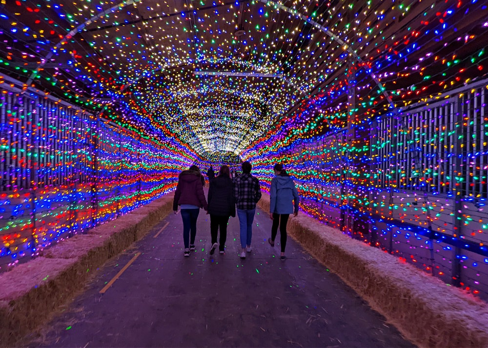 Light tunnel indoors at holiday magic