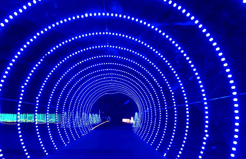 Light tunnels at Christmas in Color