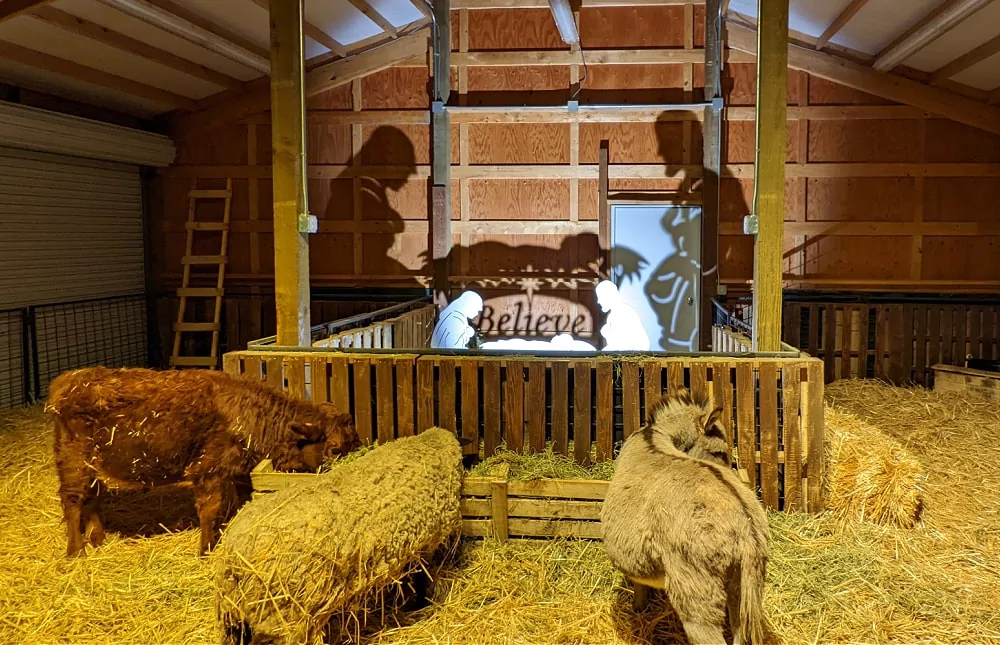 The Manger at Holiday Magic