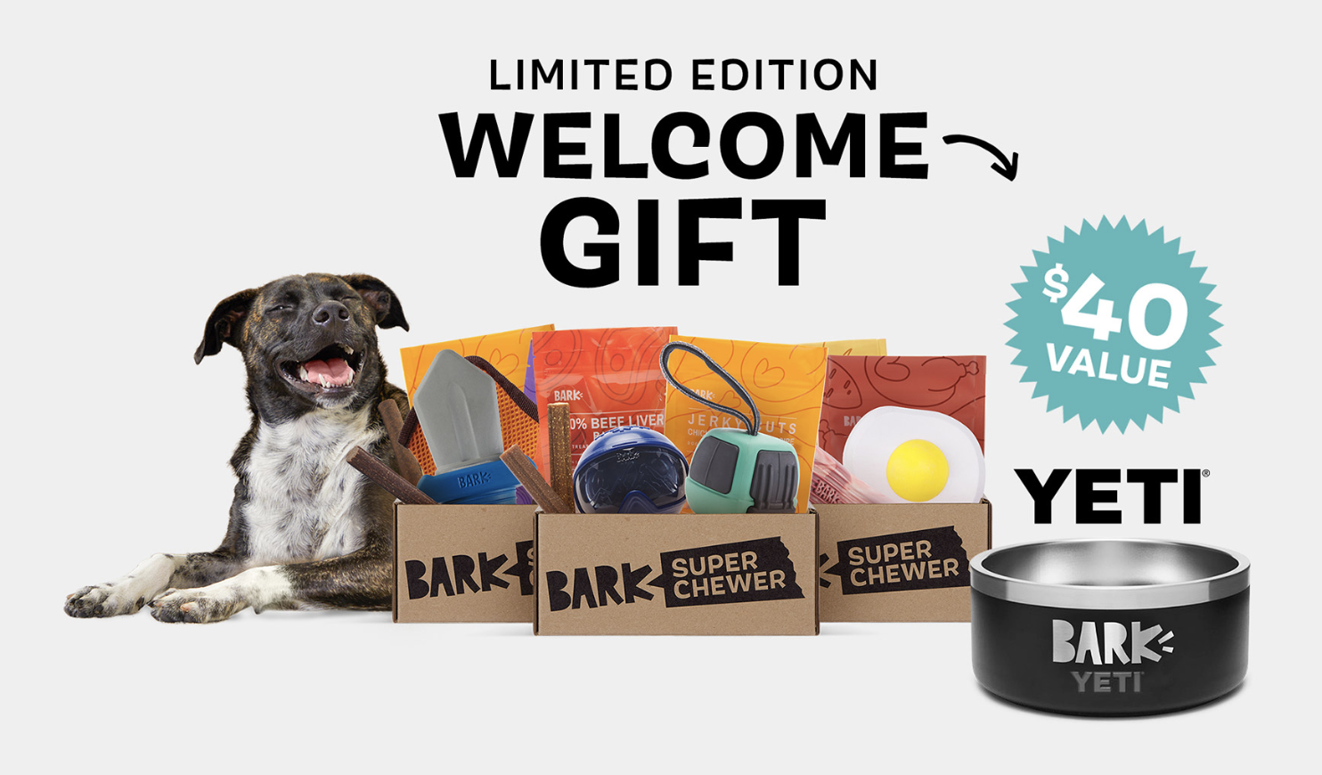 BarkBox Super Chewer Subscription Box Free Yeti Dog Bowl Thrifty NW Mom