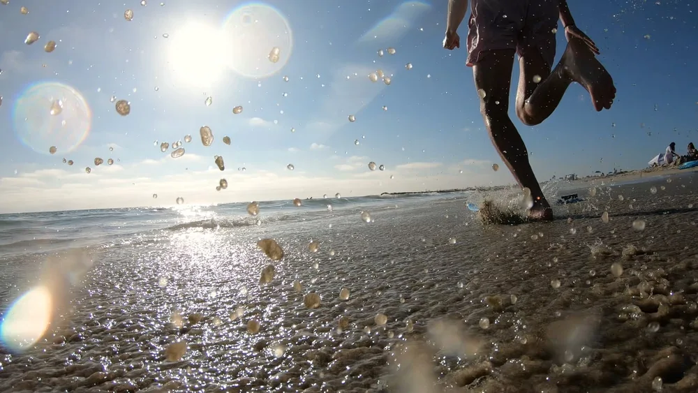 skim boarding California