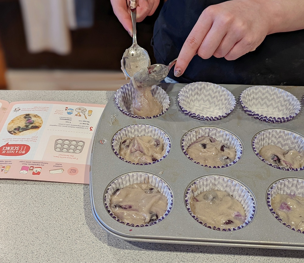 Putting blueberry muffin batter in muffin tins