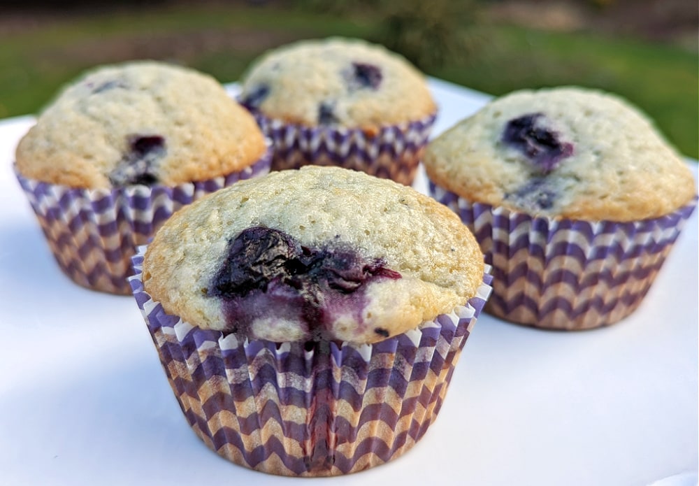 Yummy Crate blueberry muffins