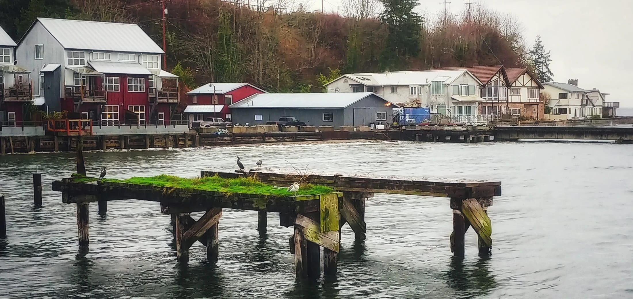 Langley Washington Waterfront