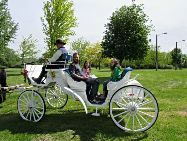 Union Gap Horse Drawn Carriage Ride