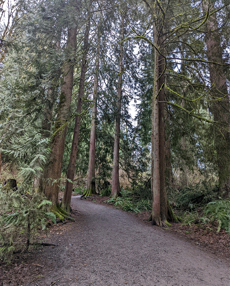 Trail at Snoqualmie Falls