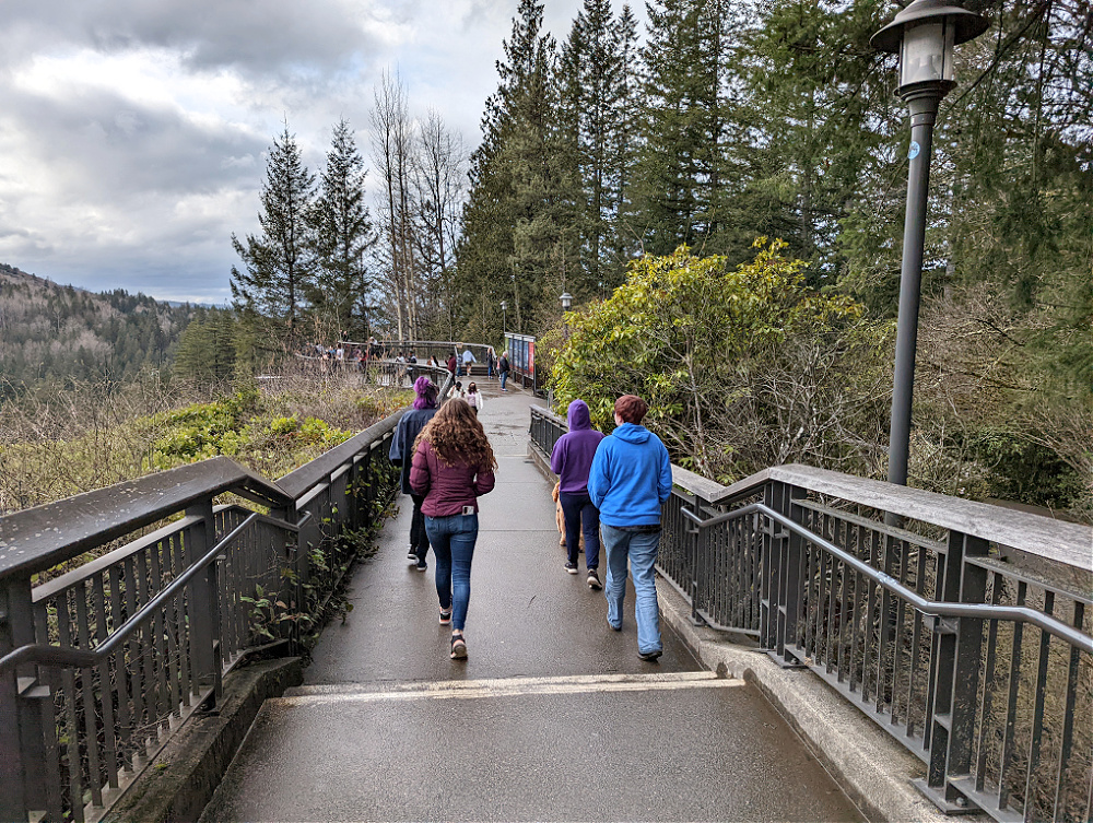 Upper Falls Viewing Areas