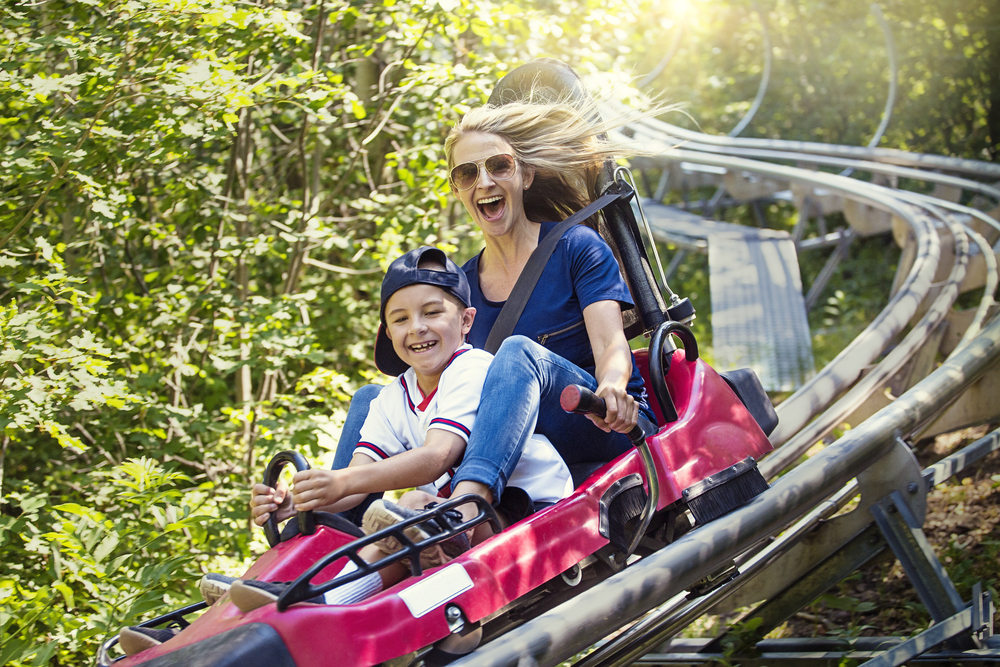 Alpine Coaster Ride