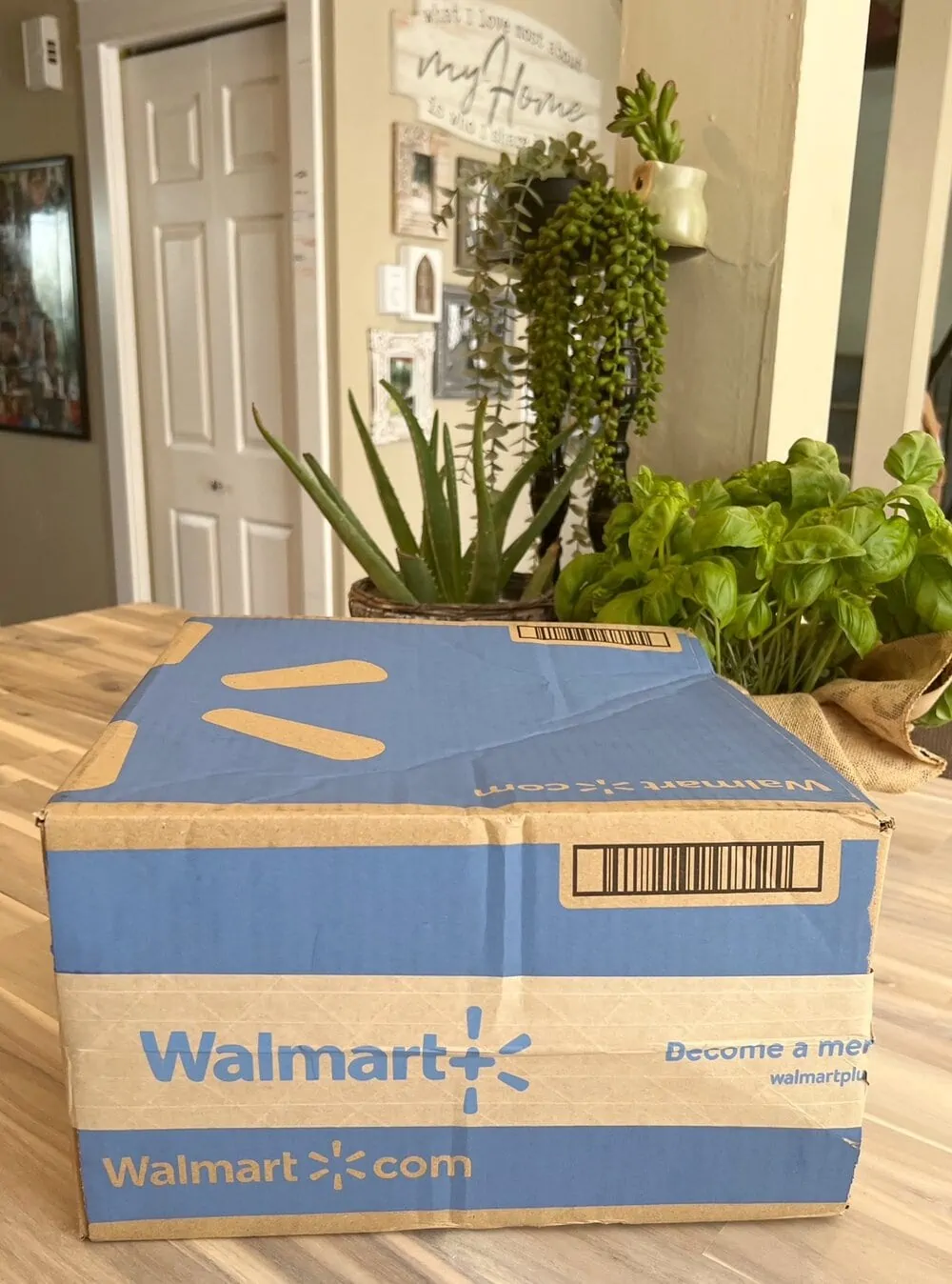 Walmart Plus Review