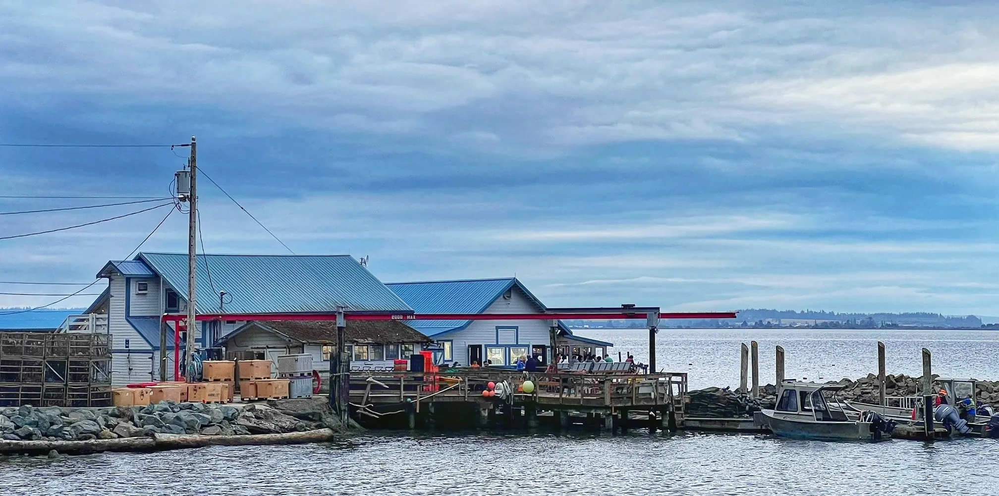 Taylor Shellfish Farm 