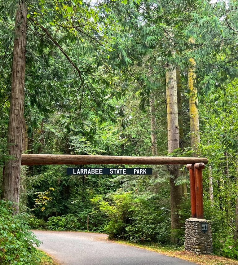 Chuckanut Drive Day Trip Where To Eat, What To See & More! Thrifty