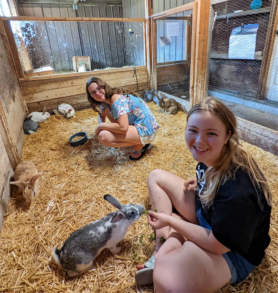 Bunnies at Cedar Mountain Farm