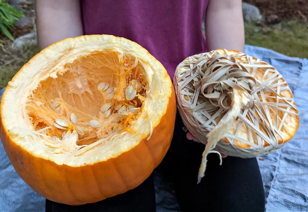 Exploded pumpkin in hands
