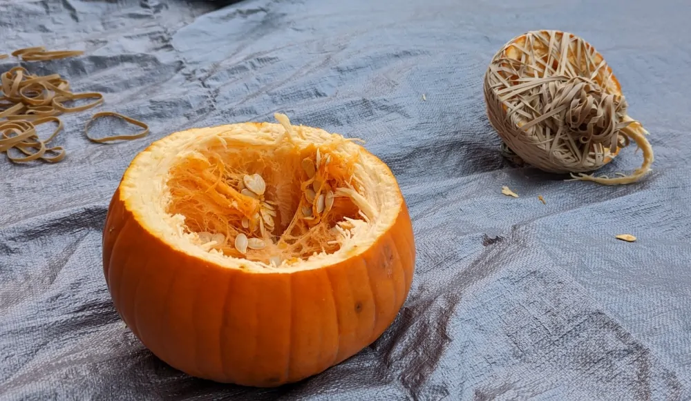 Exploded pumpkin