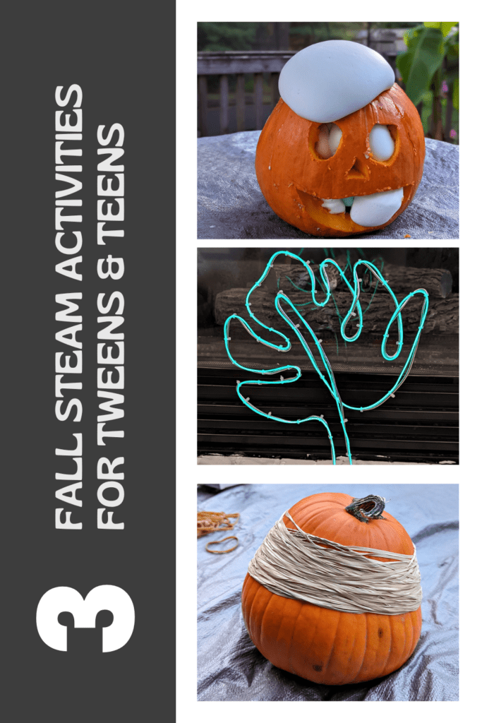 3 Fall STEAM Activities for Tweens & Teens