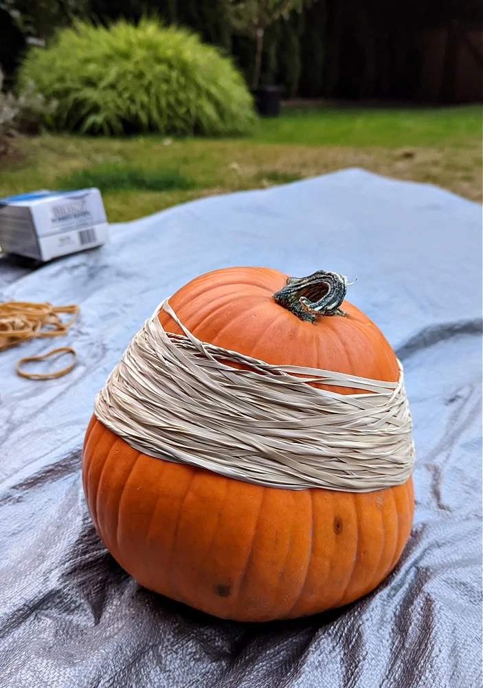 Misshapen pumpkin with rubber bands