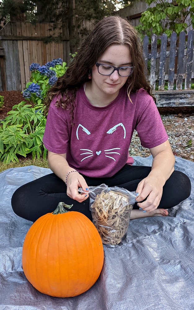 Pumpkin & rubber bands for Exploding Pumpkin Experiment