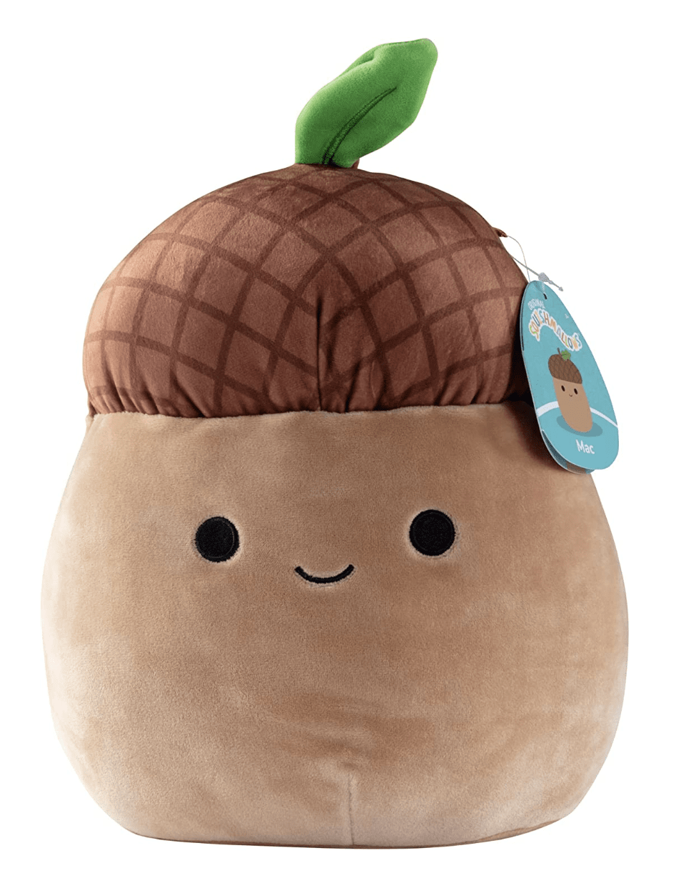 acorn squishmallow