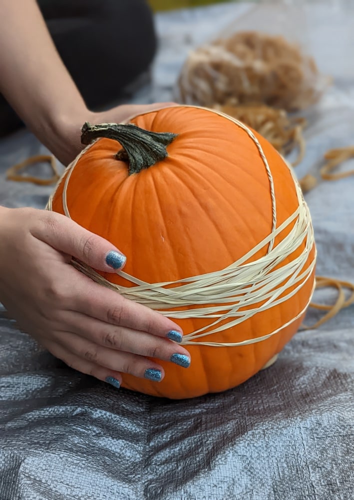 Wrapping pumpkin with rubber bands