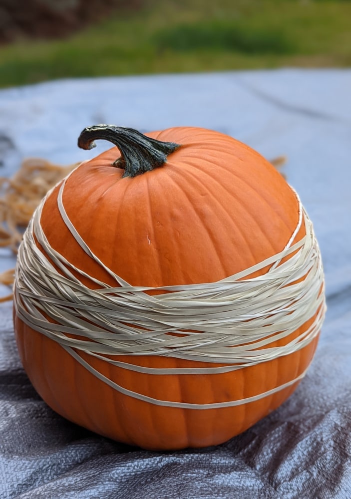 round Pumpkin with rubber bands