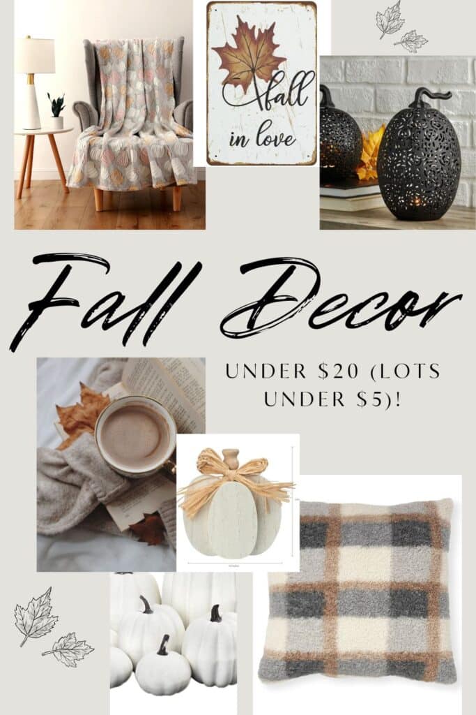 Walmart Fall Decor 2023 – Under $20 (Lots of Items Under $5)!