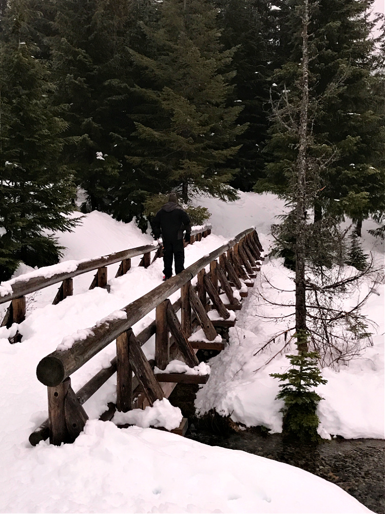 Bridge at Gold Creek Pond Snowshoe Trail
