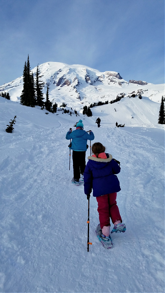 Myrtle Falls Snowshoe Hike