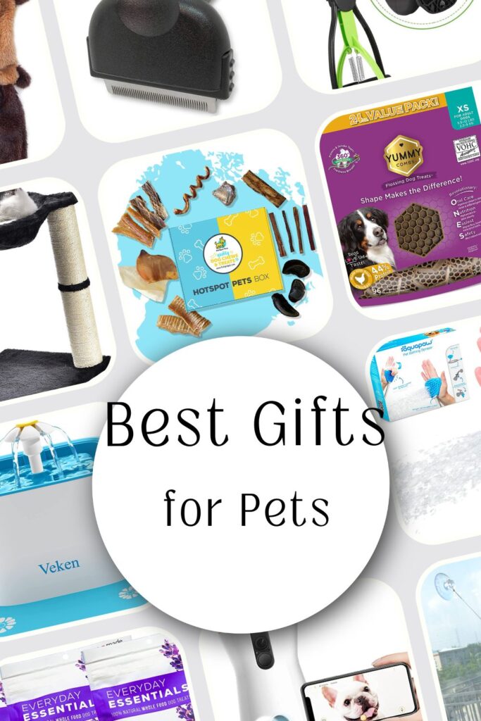 Best Pet Gifts On Amazon & Beyond To Inspire You!