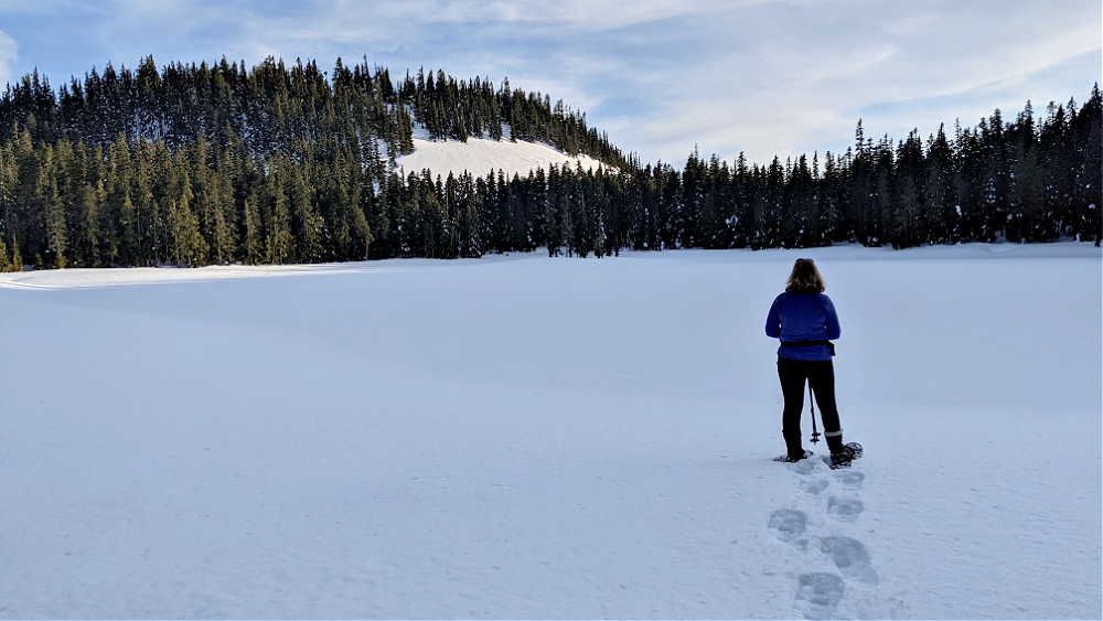 Sand and Deer Lake PCT Trail at White Pass