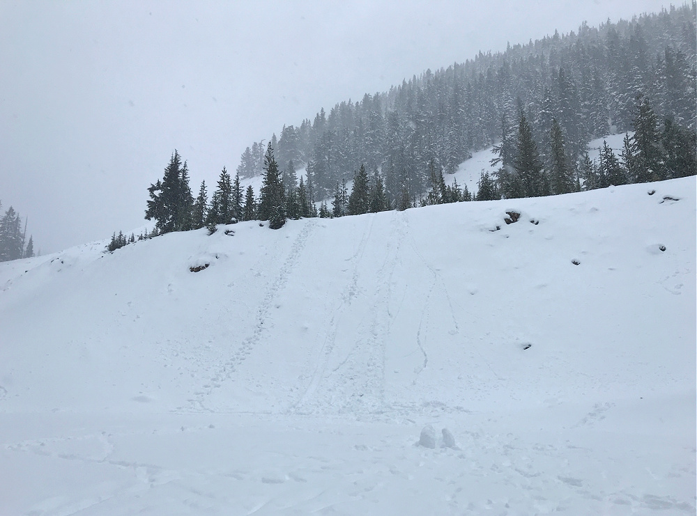 Sledding on Maintenance Shed Road at White Pass