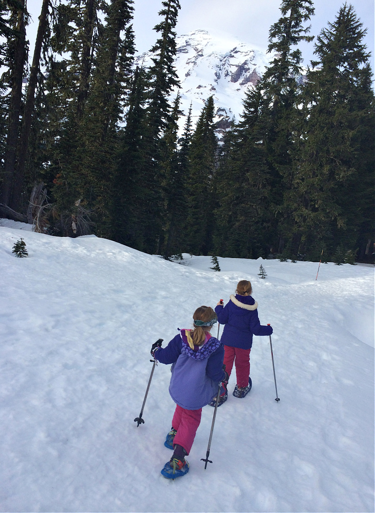 Snowshoe Trail at Nisqually Vista Mount Rainier