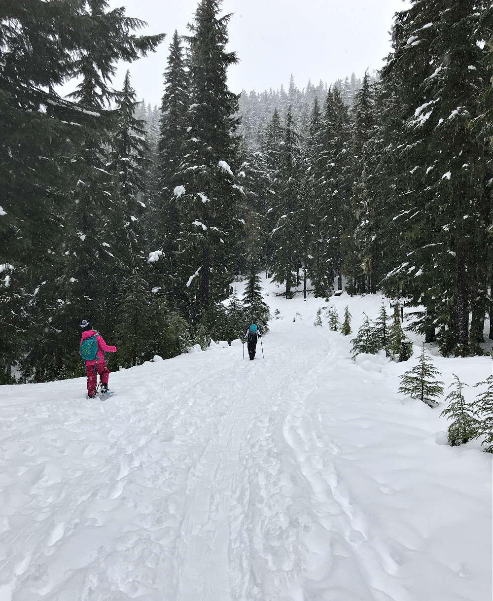 Snowshoeing at Maintenance Shed Road at White Pass