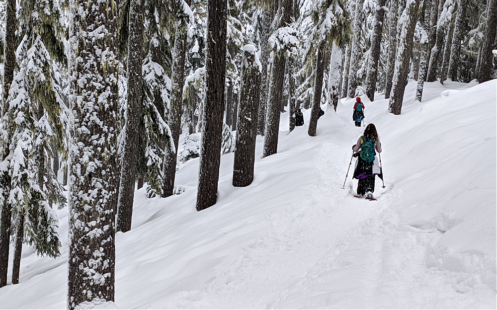 Snowshoeing at White Pass PCT Trail