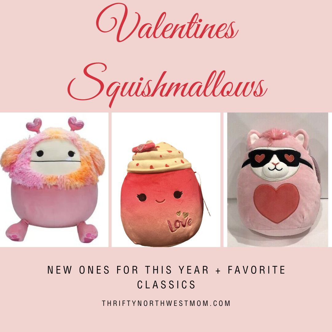 Need help identifying 2018 (8?) Valentine's Day Squishmallow Pink