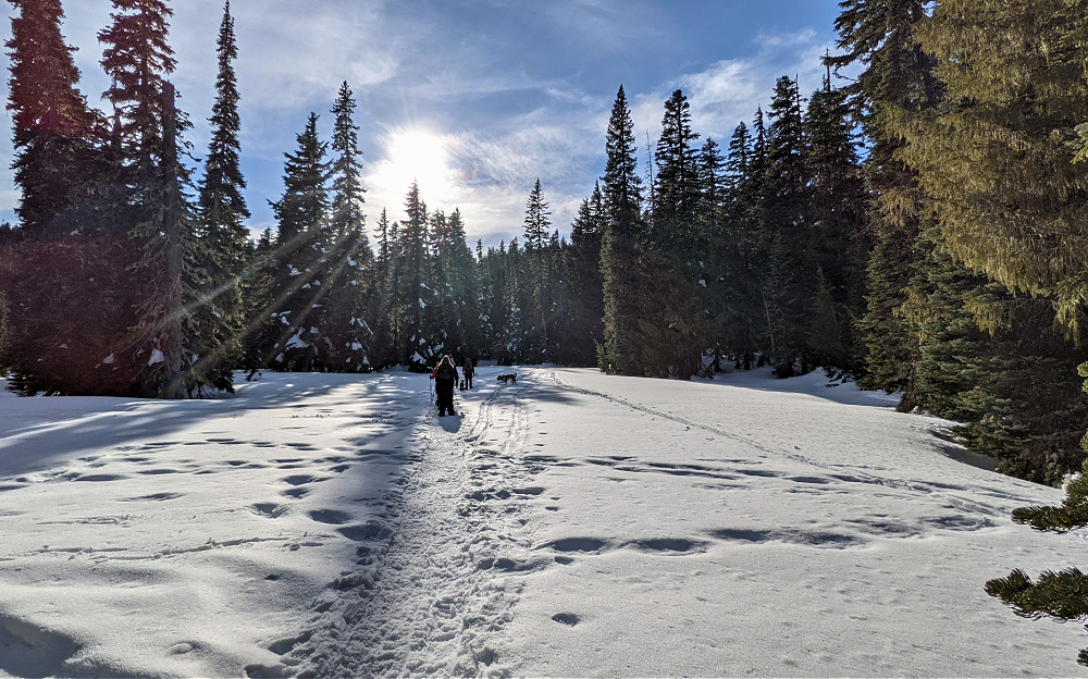 White Pass Sand Deer Lake PCT Trail