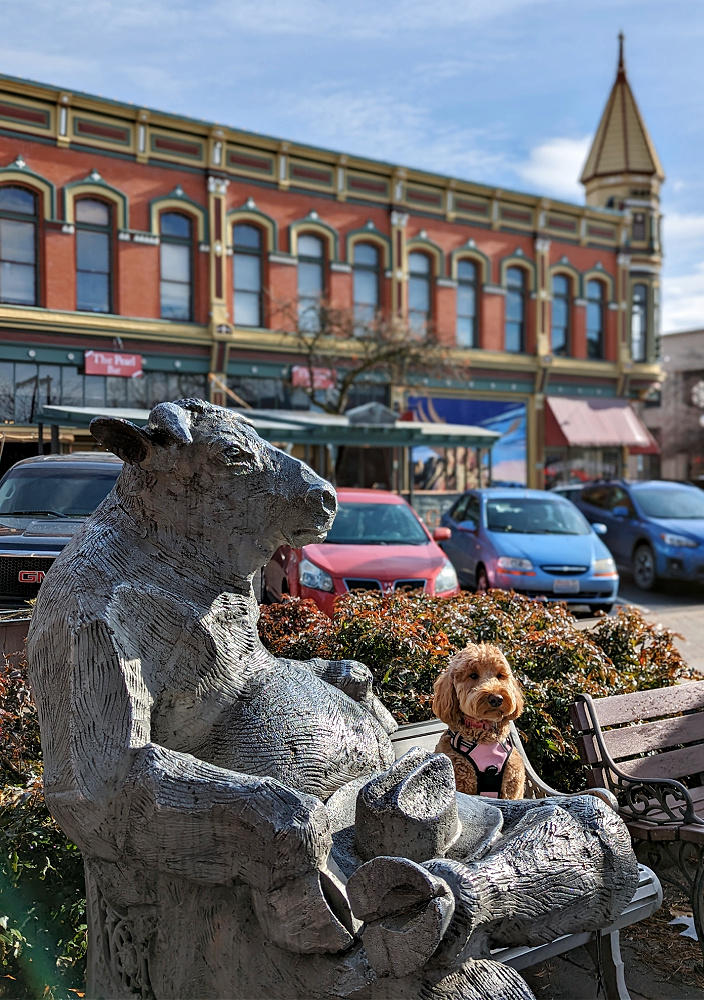 Ellensburg Bull