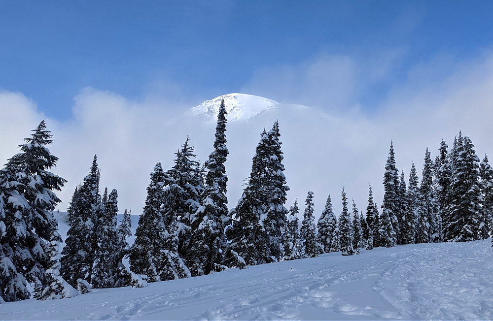 Peek of Mount Rainier in the winter