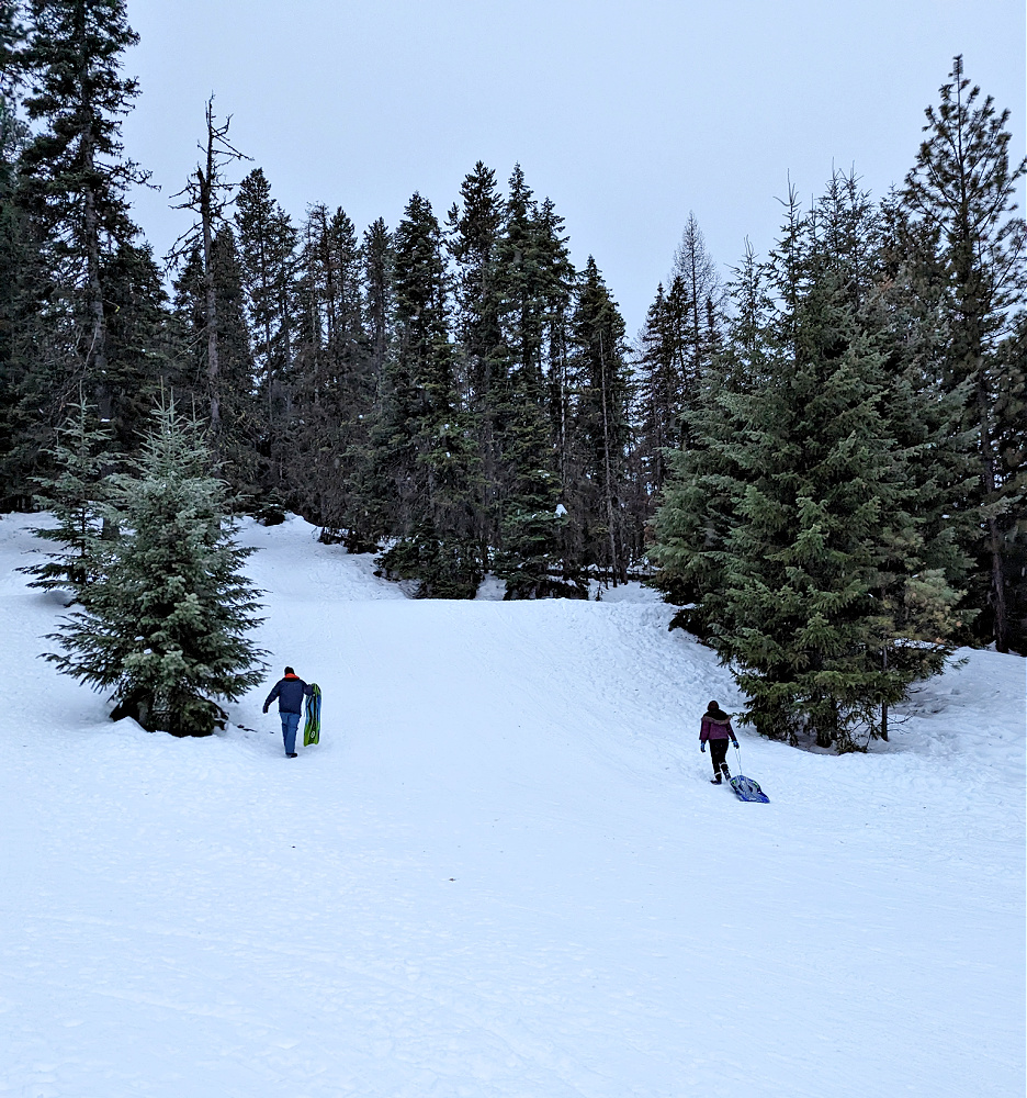 Sledding at Blewett Pass