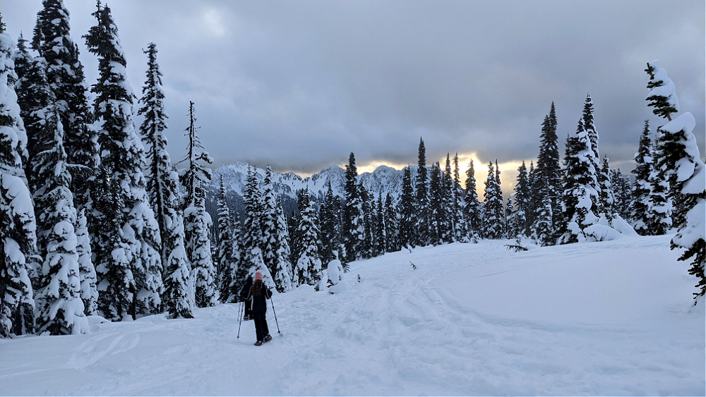 Snowshoeing at Mount Rainier