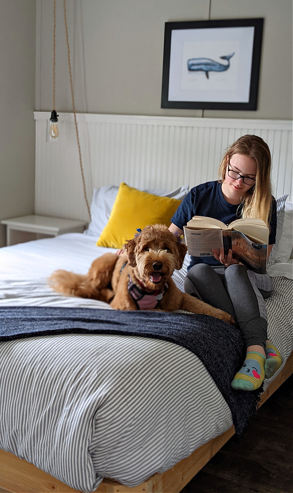 Boardwalk Cottages Pet Friendly