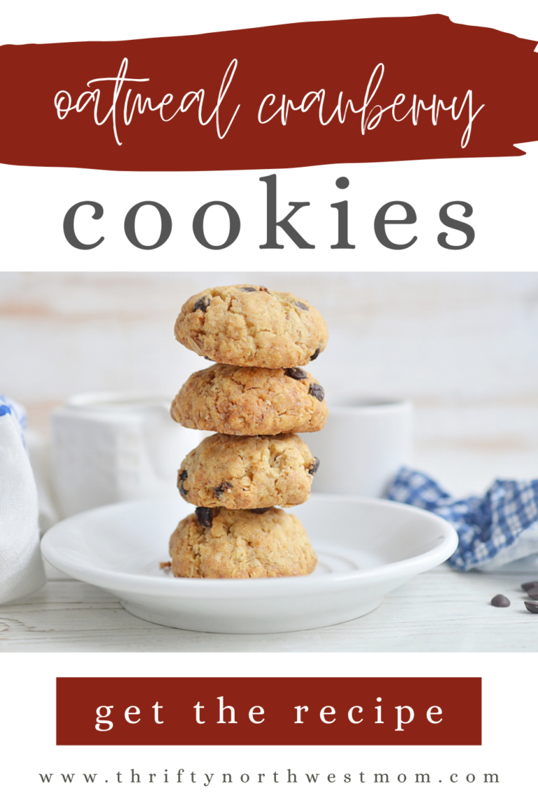 Oatmeal Cranberry Cookies – Moist & Flavorful!
